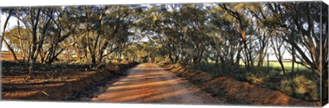 Framed Canny Road Print