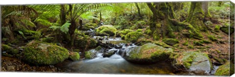 Framed Cement Creek Print