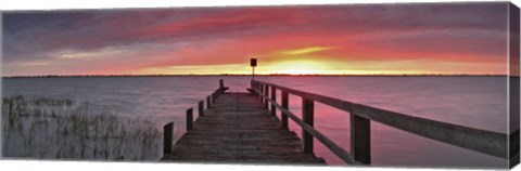 Framed Kangaroo Lake 3 Print