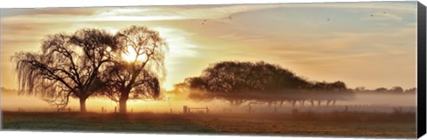 Framed Misty Morning 2 Print