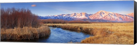 Framed Owens River Print