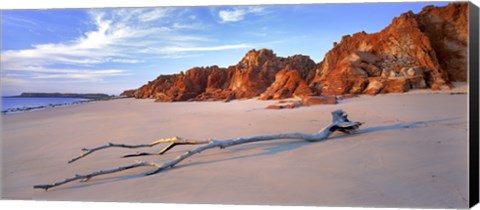 Framed Driftwood Print