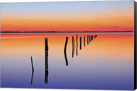 Framed Vanishing Fence Line Print