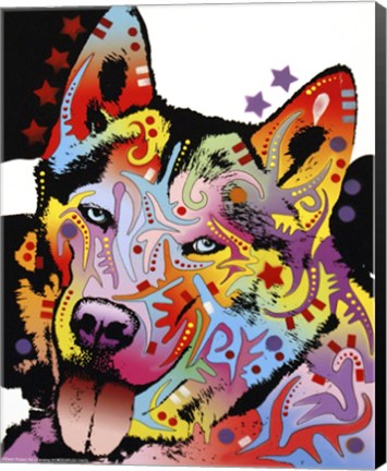 Framed Siberian Husky 1 Print