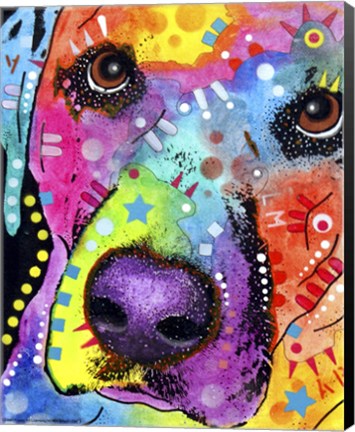 Framed Closeup Labrador Print