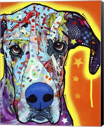 Framed Great Dane Print