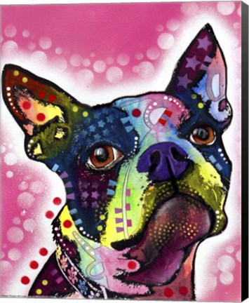 Framed Boston Terrier Print