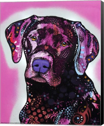 Framed Black Lab Print