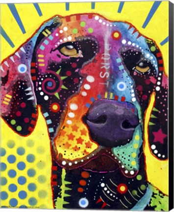 Framed German Short Hair Pointer Print