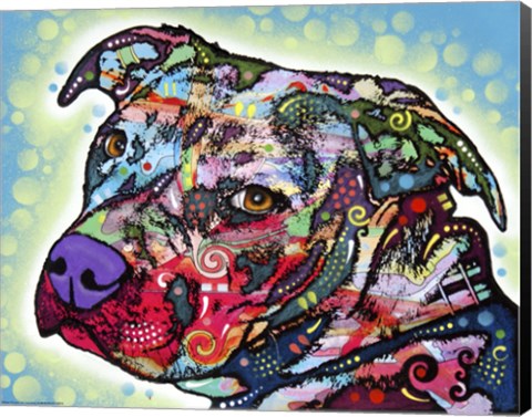 Framed Bulls Eye Print