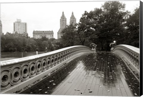 Framed Bow Bridge 2010 Print