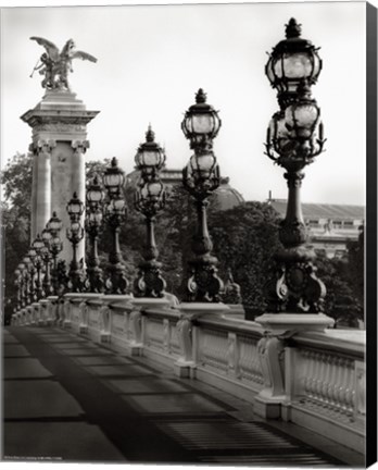Framed Pont Alexander Print