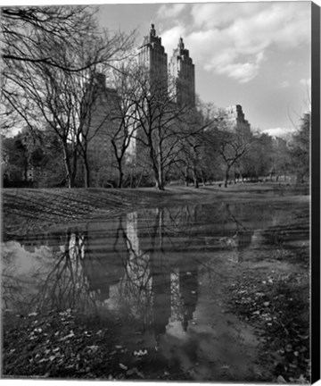 Framed Central Park Reflections Print