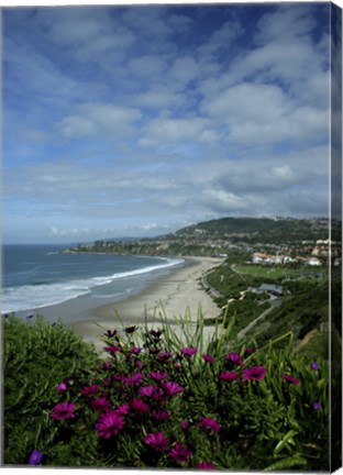Framed Monarch Beach 1 Print