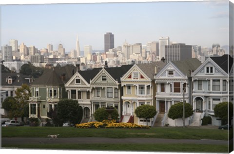 Framed Painted Ladies San Franciso 1 Print