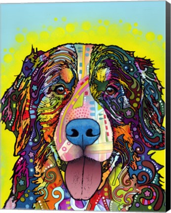 Framed Bernese Mountain Dog Print