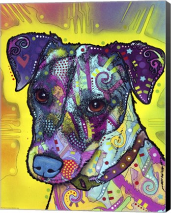 Framed Jack Russell Print