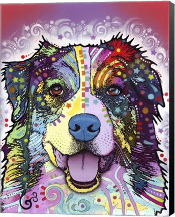 Framed Australian Shepherd Print