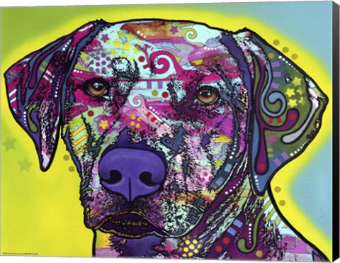 Framed Rhodesian Ridgeback Print