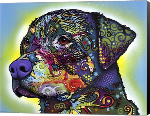 Framed Rottweiler Print