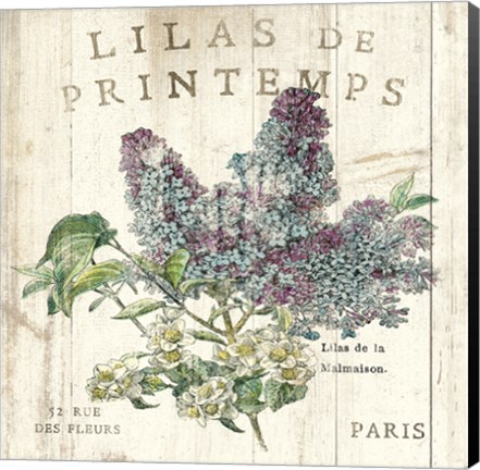 Framed Lilas de Printemps Print