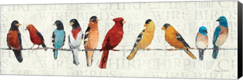 Framed Usual Suspects - Birds on a Wire Print