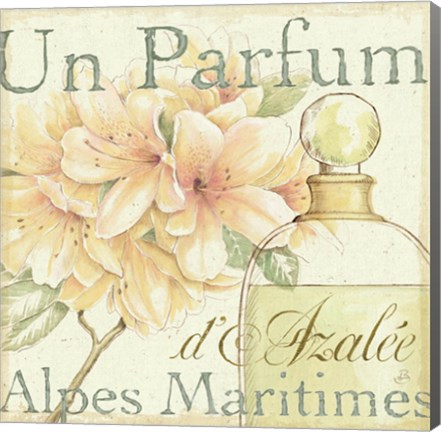 Framed Fleurs and Parfum III Print