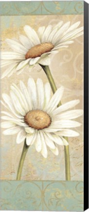 Framed Beautiful Daisies II Print