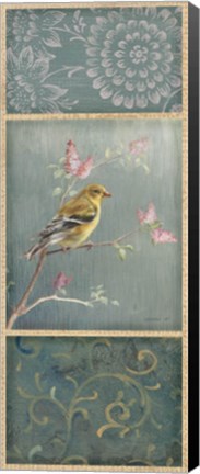 Framed Female Goldfinch Print