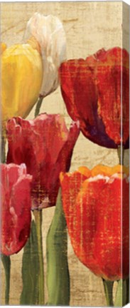 Framed Tulip Fantasy on Cream III Print