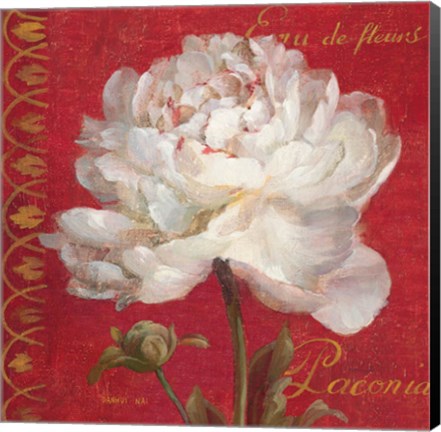 Framed Paris Blossom IV Print