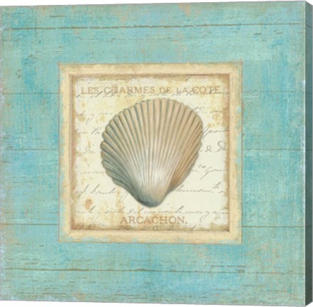 Framed Bijou de Mer III Print