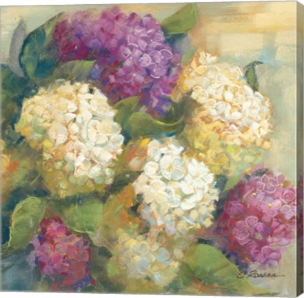 Framed Hydrangea Delight II Print