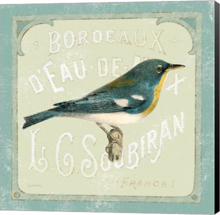 Framed Parisian Bird I Print