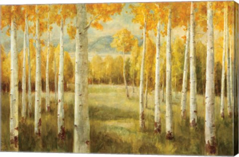 Framed Aspens Print