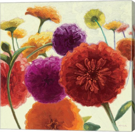 Framed Pure Palette Zinnias Print