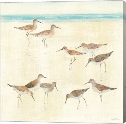 Framed Sandpipers Print