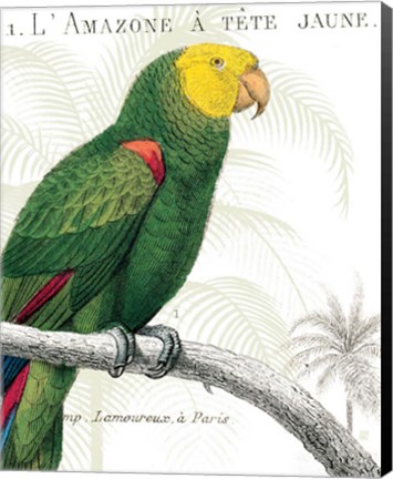 Framed Parrot Botanique I Print