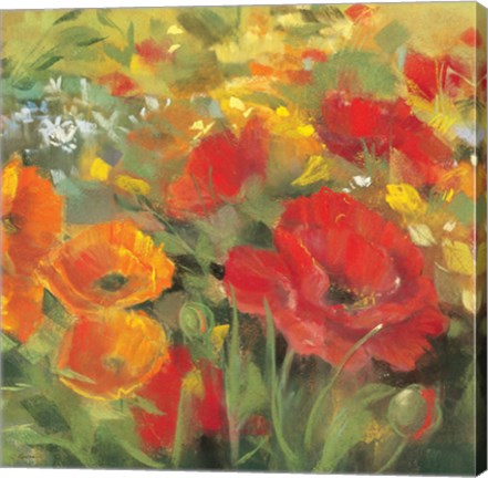 Framed Oriental Poppy Field I Print