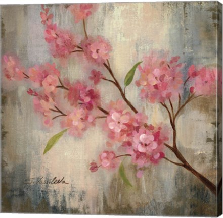 Framed Cherry Blossom II Print