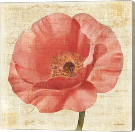 Framed Blushing Poppy on Cream Print