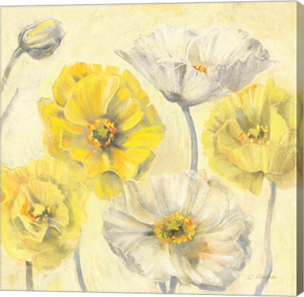 Framed Gold and White Contemporary Poppies II Print