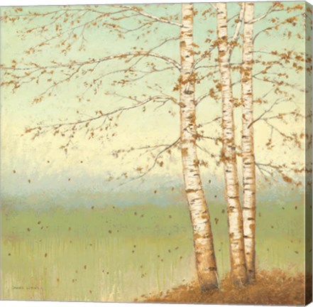 Framed Golden Birch II with Blue Sky Print