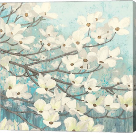 Framed Dogwood Blossoms II Print
