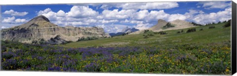 Framed USA, Wyoming, Grand Teton Park Print