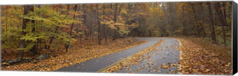 Framed Road passing through autumn forest, Great Smoky Mountains National Park, Cherokee, North Carolina, USA Print