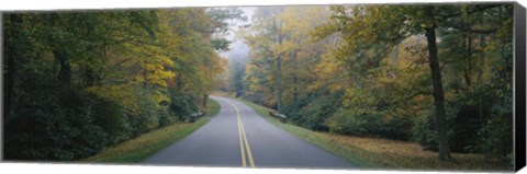 Framed Trees along a road, Blue Ridge Parkway, North Carolina, USA Print