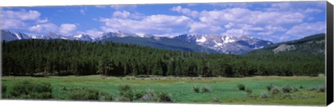 Framed Beaver Meadows Rocky Mountain National Park CO USA Print