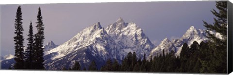 Framed Cathedral Group Mountains, Grand Teton National Park, Wyoming Print