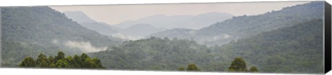 Framed Forest with mountain range, Bwindi Impenetrable Forest, Bwindi Impenetrable National Park, Uganda Print